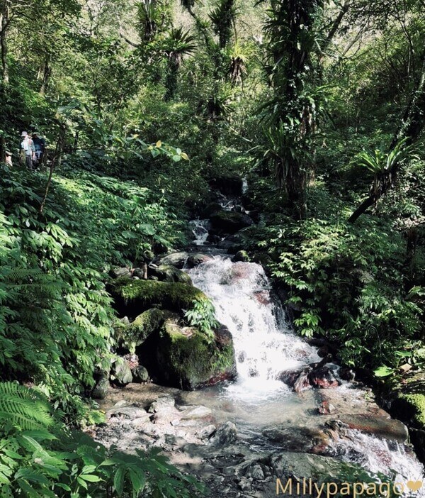 聖母山莊溪水