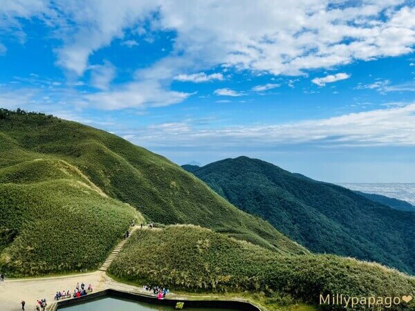 matcha-mountain-view3